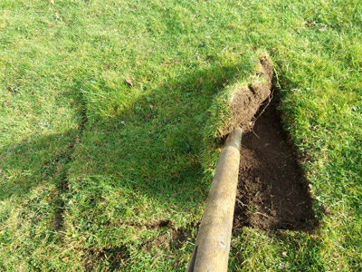 removing the turf