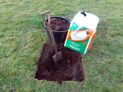 cutting turf to plant a tree