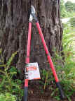 S&J Razorsharp telescopic Bypass Lopper, buy from Crocus